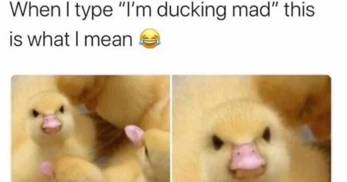 Hey Pandas, Make Me Laugh (Closed)
