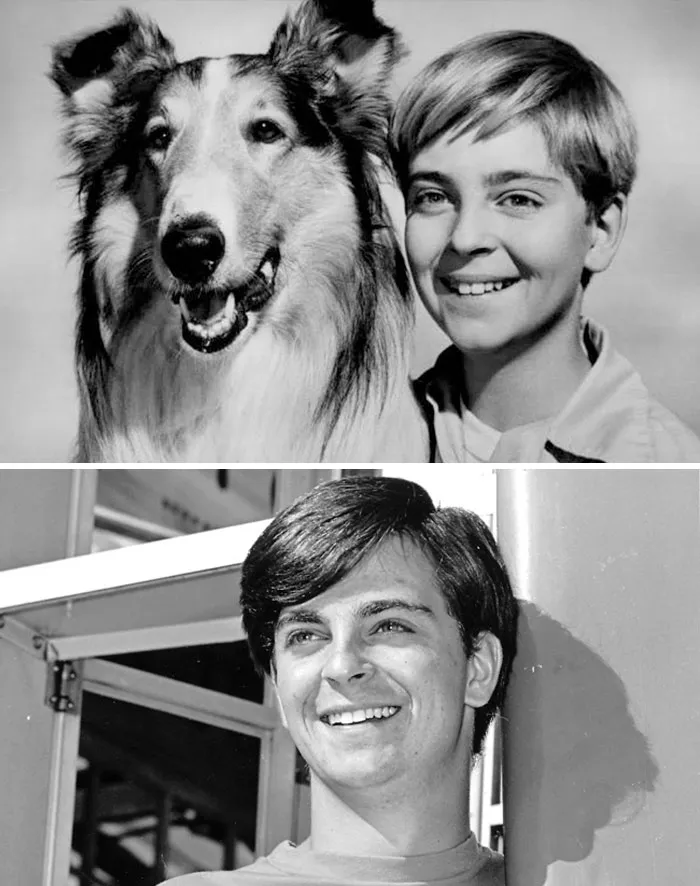En los años 50, Tommy Rettig era el adorable niño compañero de la omnipresente Lassie. Después de "Lassie", encontró trabajo como ingeniero de software