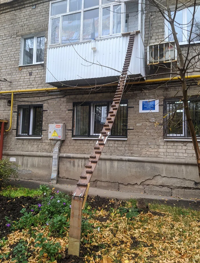 This Cat Ladder