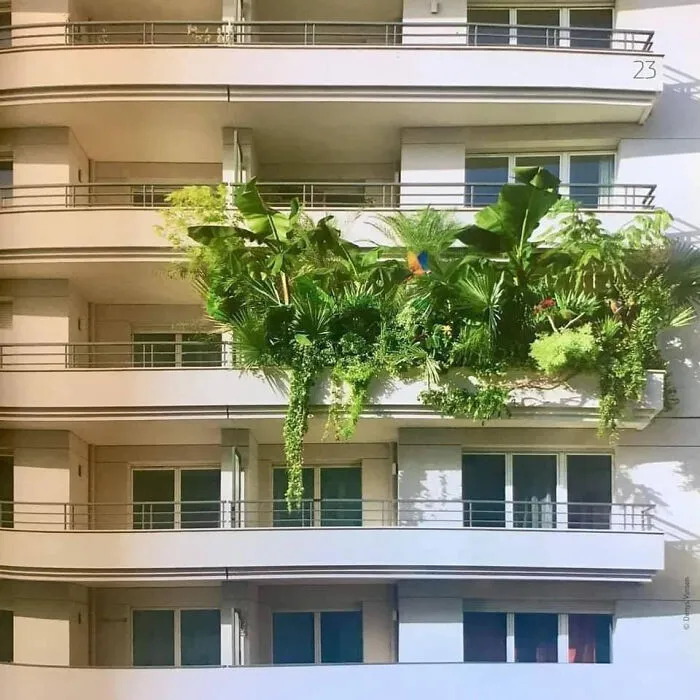 Got A Little Carried Away By Indoor Plants