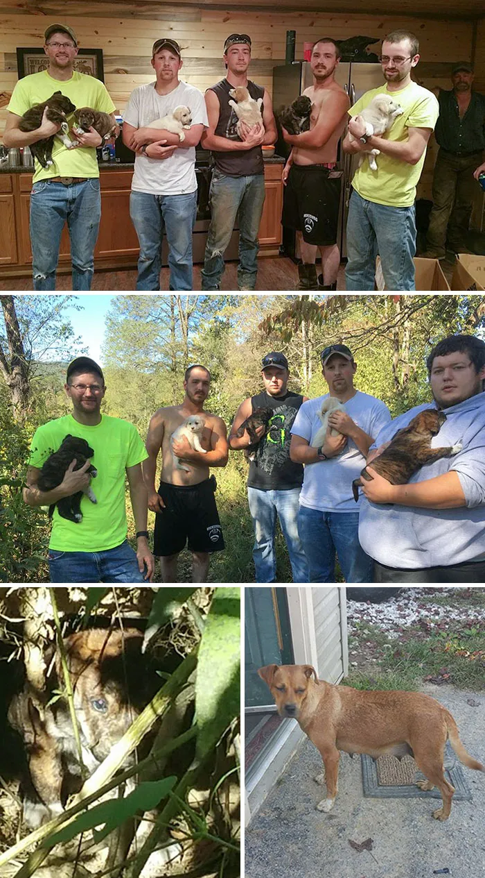 Despedida de soltero encuentra cachorros y los adopta