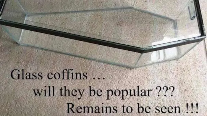 40 'Literal Memes' That Are Straight To The Point But Still Hilarious