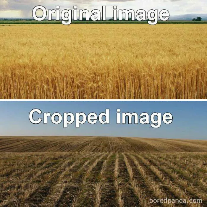 40 'Literal Memes' That Are Straight To The Point But Still Hilarious
