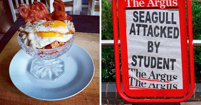 Hilarious Times People Caught The UK Going 'Too Far' And Documented It In These 50 Pics