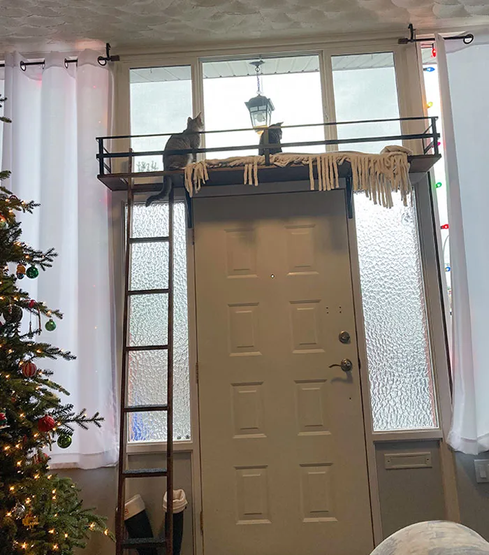 Built Our Spoiled Babies A Loft For Christmas