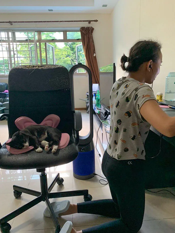 Pepper Obviously Has A Sense Of Entitlement
