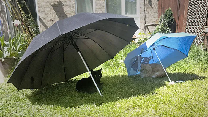 Sometimes I Worry That I Spoil Them