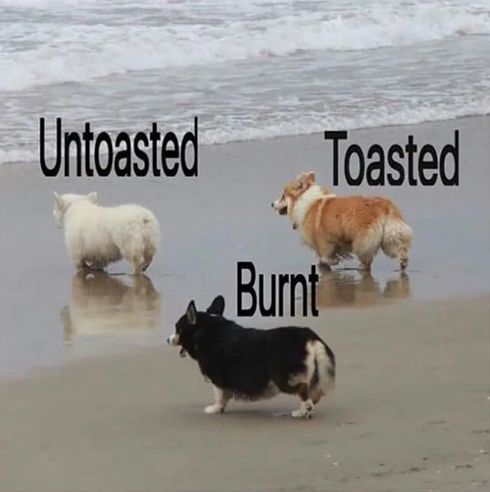 There Are 3 Types Of Bread