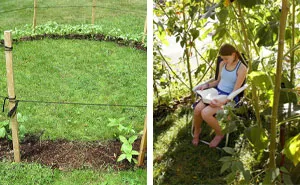50 Times People With A Green Thumb Shared Some Awesome Gardening Ideas