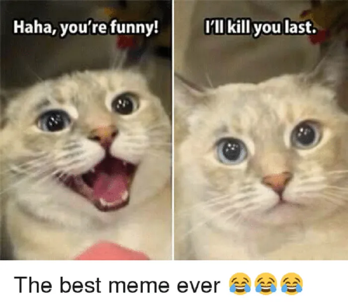 It Really Is...