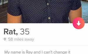 50 Tinder Bios You'll Love If A Great Sense Of Humor Is What You're Looking For (New Pics)