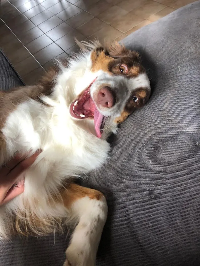 Play Time!