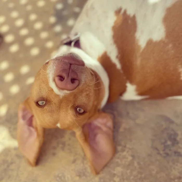 Mi bebé Ella
