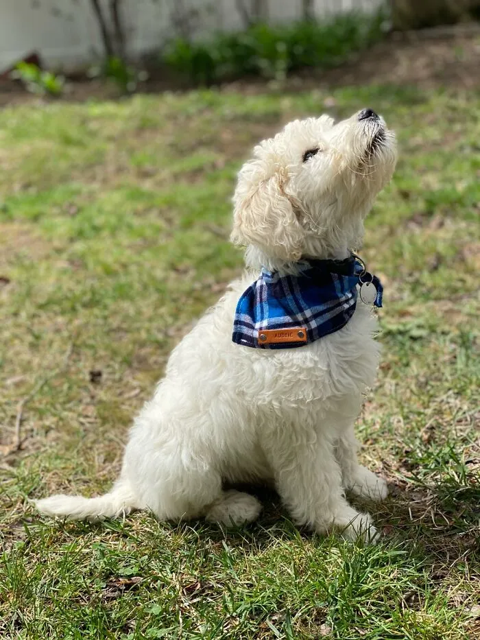 I’m
