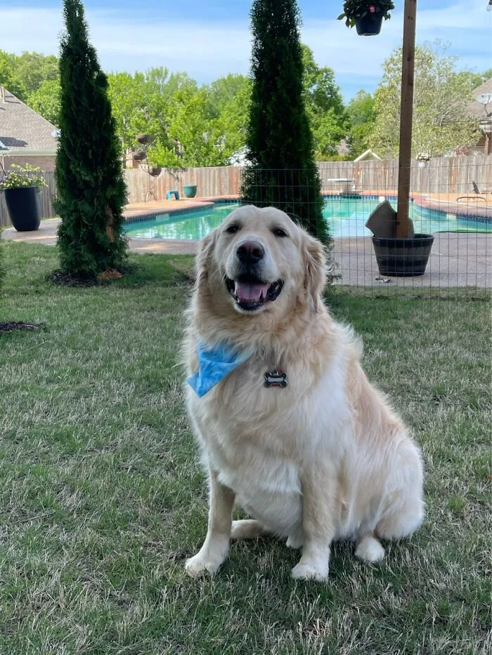Was Just Groomed!