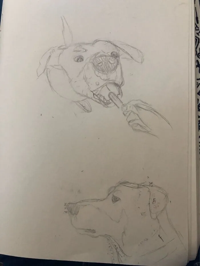 Of My Doggo A Bit Ago