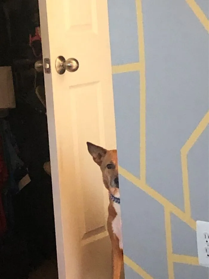 When You Know You F’ed Up And It’s Only A Matter Of Time
