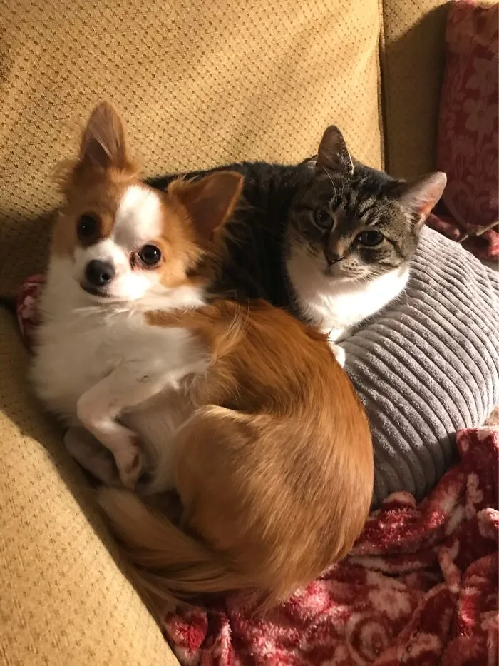 Best Friends Xxx