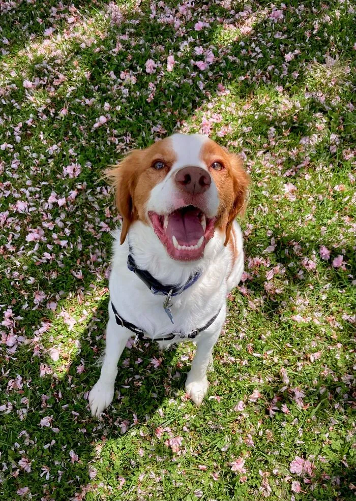 Finnegan
