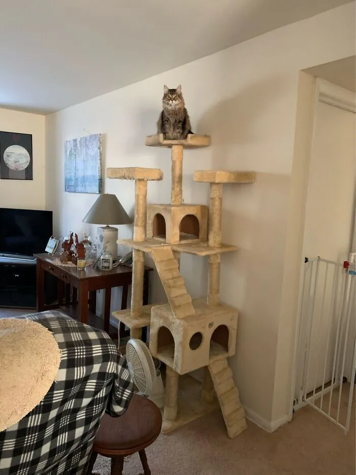 I Am Queen Of All That I See!