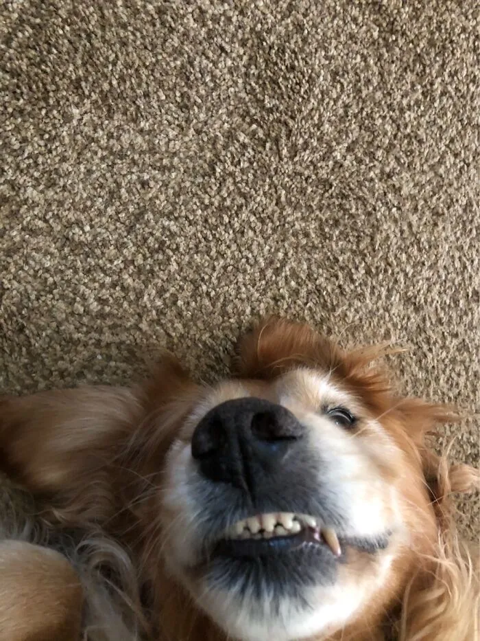 Teefs - Julian Age 7