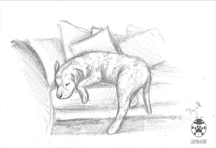 Nap