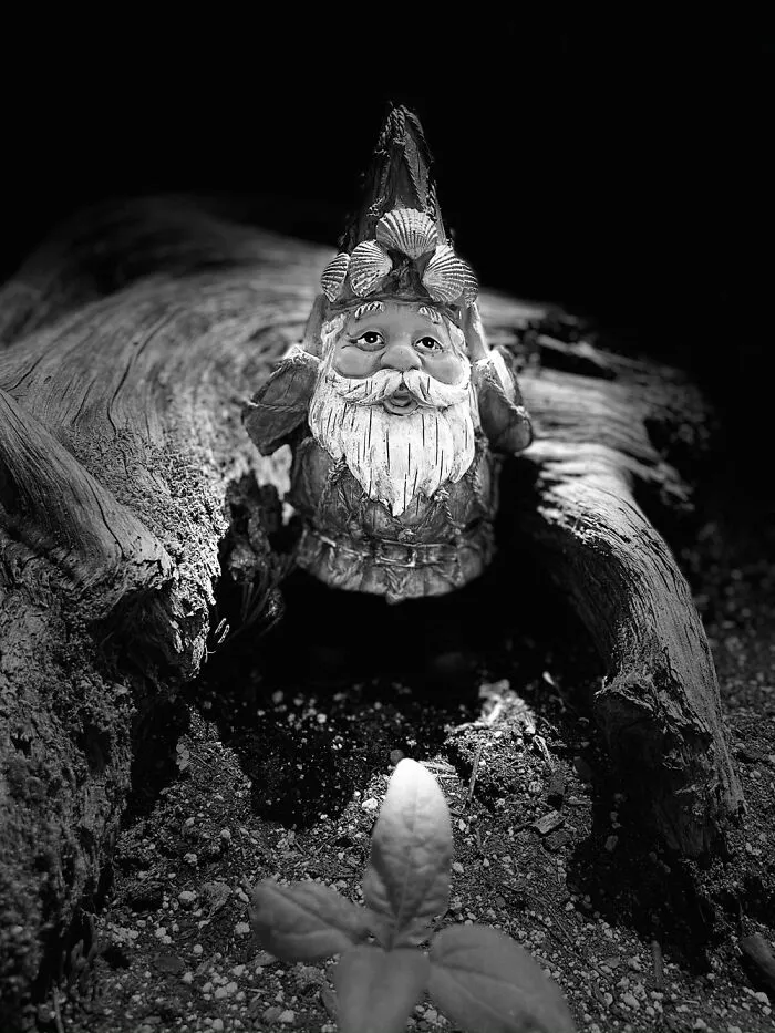 Gnomeland Security!
