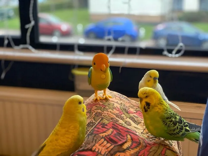 Meeting The New Leader