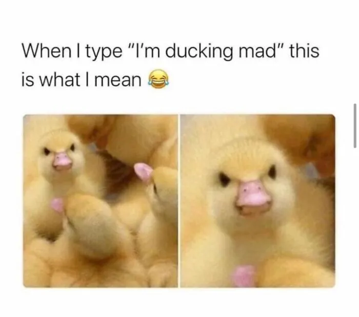 Lol I Like This One