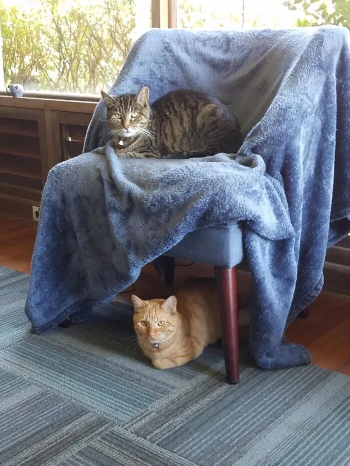 Bunkbeds!