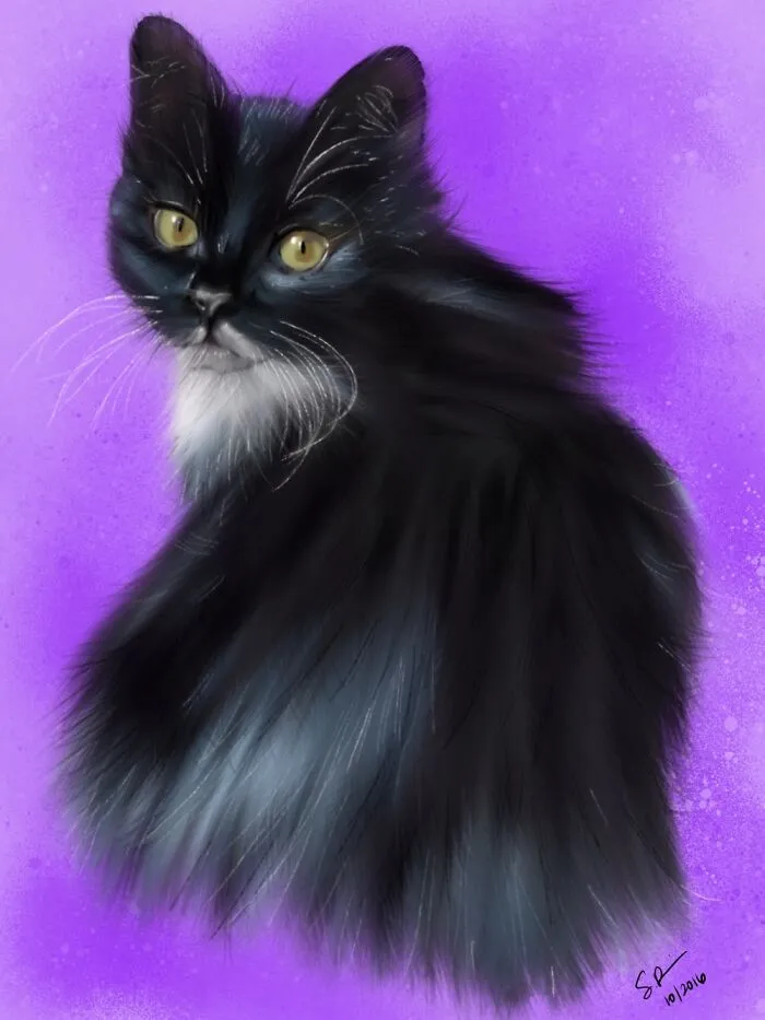 Torchy. Drawn On Procreate.