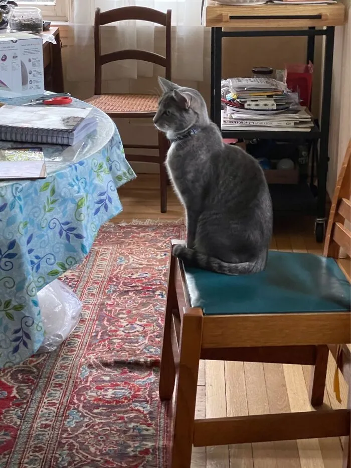 When Is Dinner?