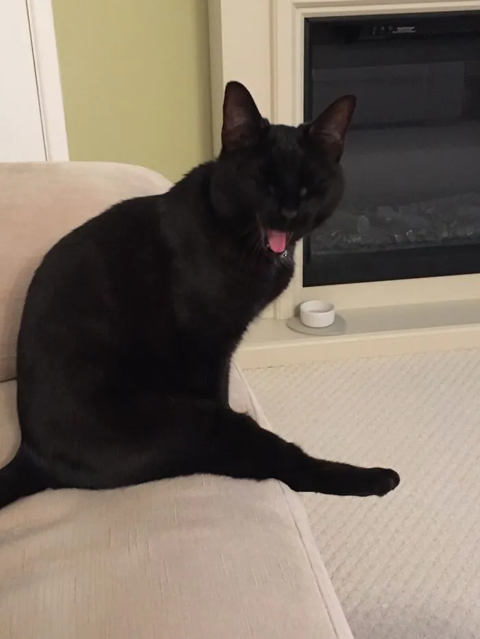 Crazy Boy!