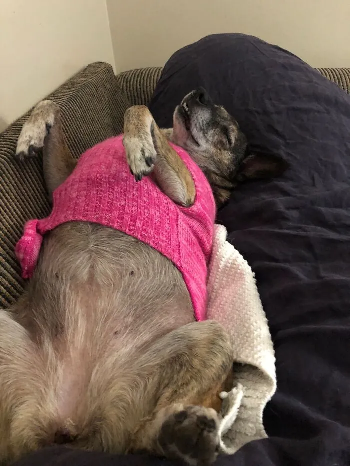 Ruby At Rest!