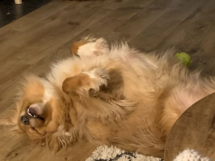 He Regularly Sleeps Like This.