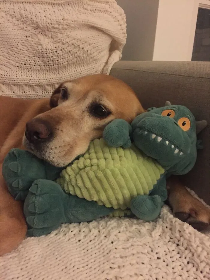Lottie Loves Edgar. Edgar Is Not Sure About Lottie.