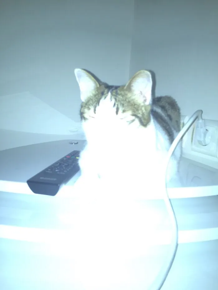 I Forgot To Turn Off The Flash....
