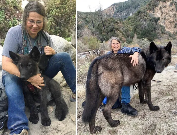 From 2.5 Months To Nearly 2 Years