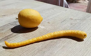 50 Interesting Comparison Images That Will Give You A New Perspective (New Pics)