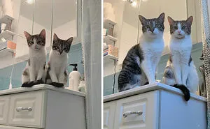 50 Interesting Comparison Images That Will Give You A New Perspective (New Pics)