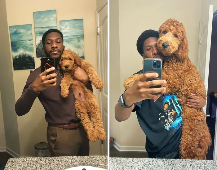 8 semanas vs. 8 meses