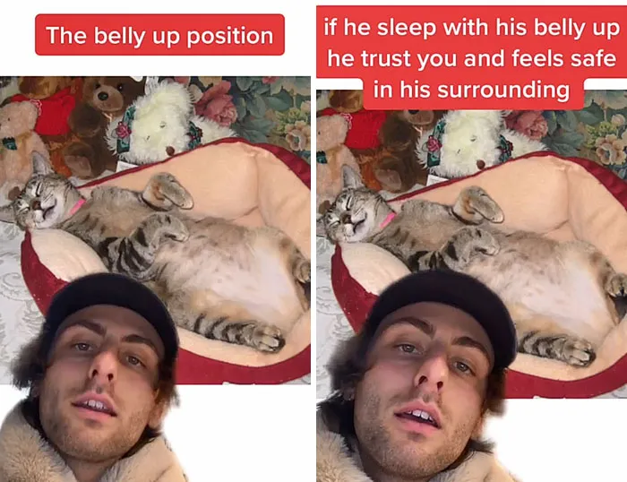 Guy Promises To Give Cat Facts You Didn't Know, Delivers 22 Interesting Ones