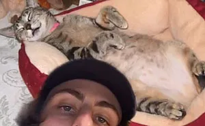 Guy Promises To Give Cat Facts You Didn't Know, Delivers 22 Interesting Ones