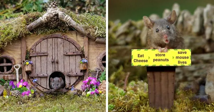 I Built A Fantasy-Inspired Home For The Wild Mice That Live In My Garden