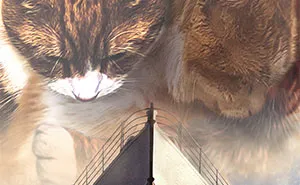 Artist Recreates Movie Posters And Replaces Actors With Cats And Dogs (19 Pics)