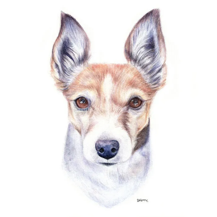 I Create Animal-Themed Paintings Using Watercolor, Ink, And Acrylic Paint, Here Are My best 70 Works