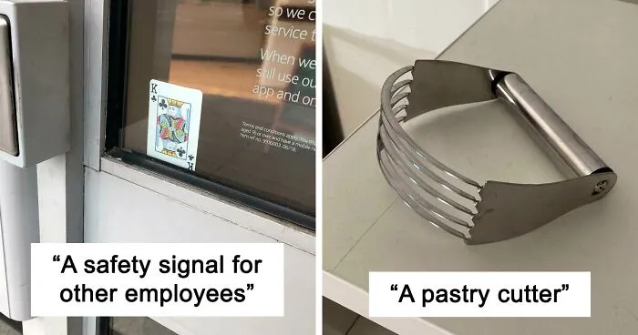 50 Times People Had No Idea What They Were Looking At, But The Internet Knew What It Was Right Away