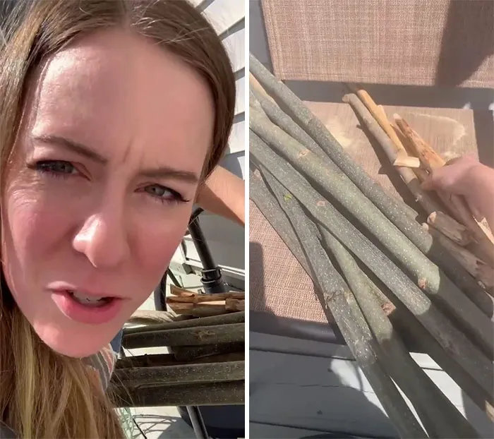 People Are Sharing The Most "Benign But Absolutely Unhinged" Habits They Formed During The Covid-19 Lockdown
