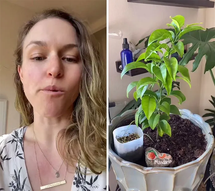 People Are Sharing The Most "Benign But Absolutely Unhinged" Habits They Formed During The Covid-19 Lockdown