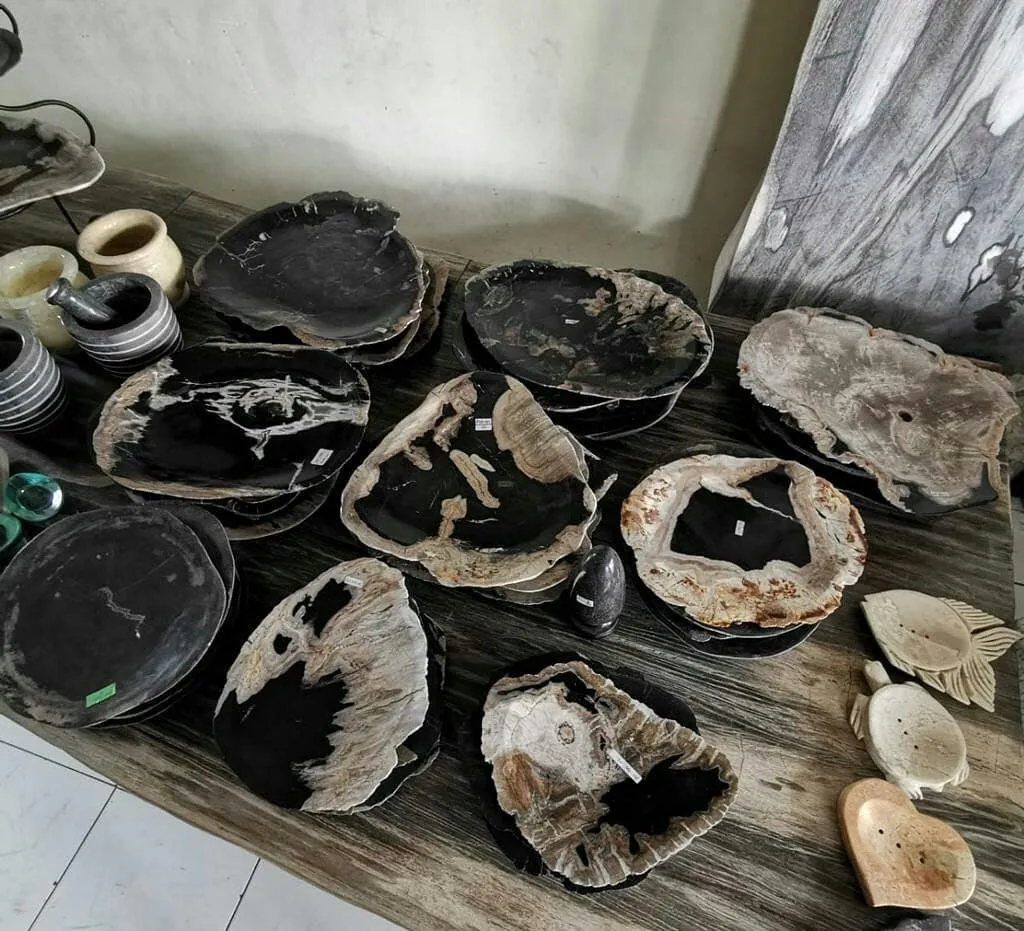 Petrified Wood Store Bali Indonesia